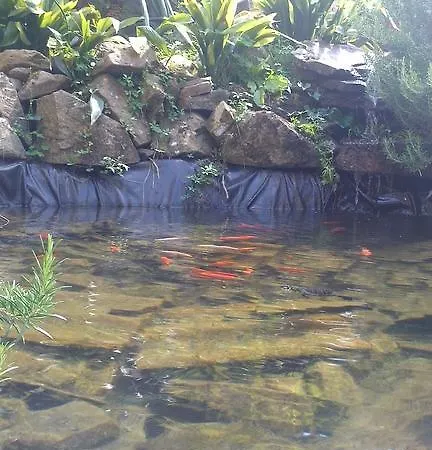 Ristorante El Caracol 2*