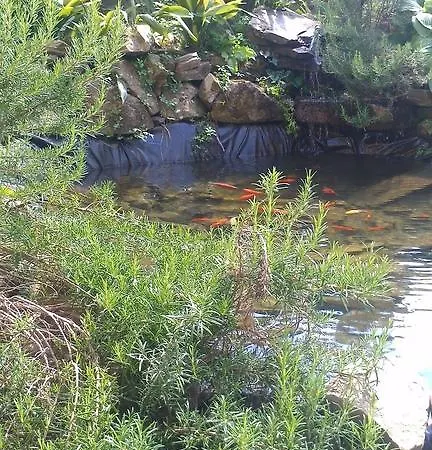 Ristorante El Caracol 2*